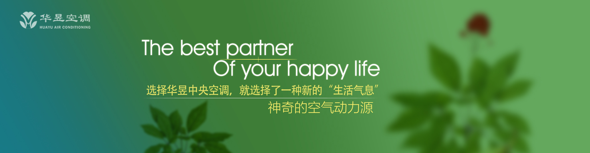 眉目传情网